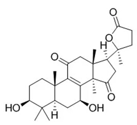 5e23ccb06f201.jpg 22.jpg